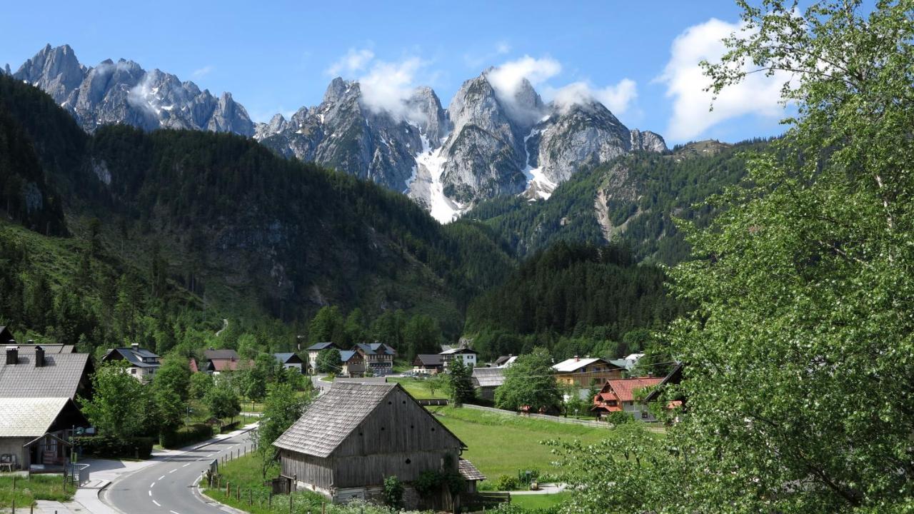 Ferienwohnung Kunterbunt โกเซา ภายนอก รูปภาพ