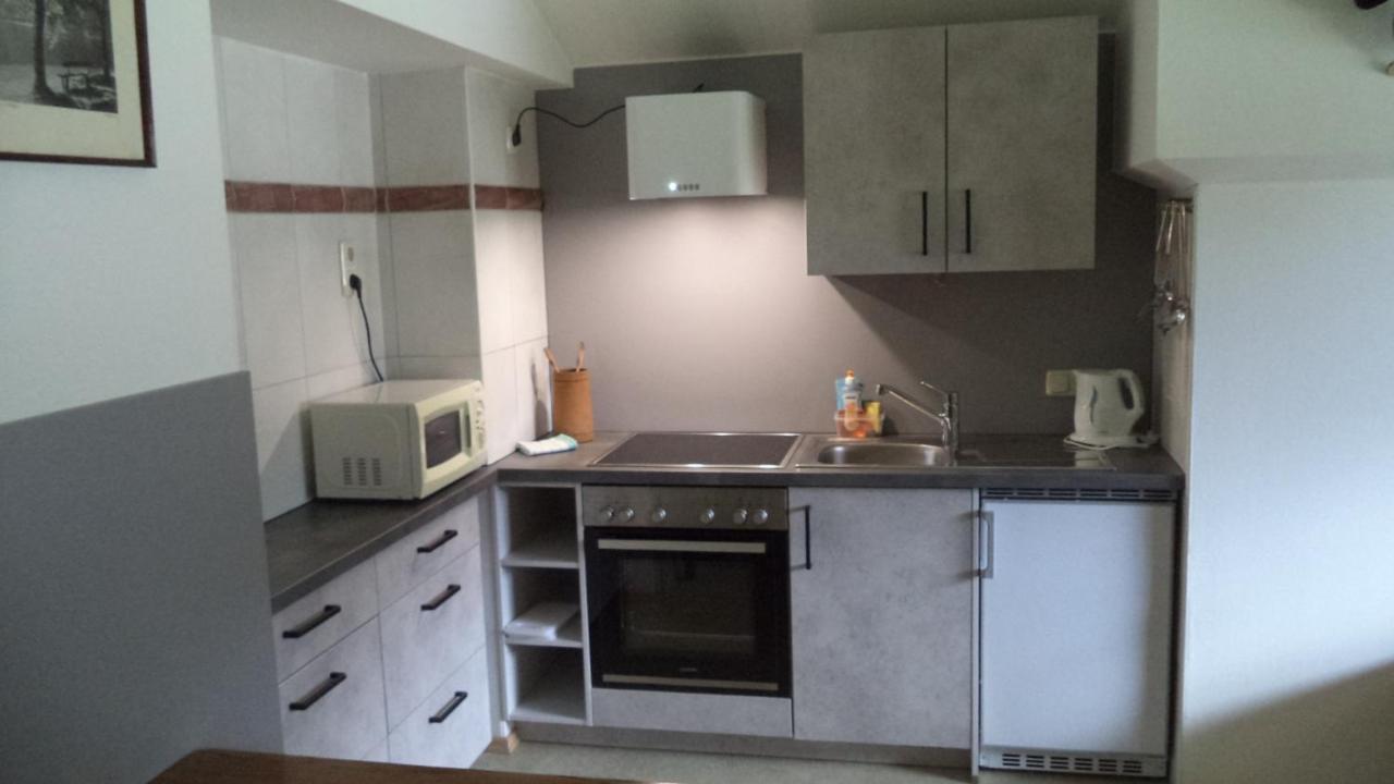 Ferienwohnung Kunterbunt โกเซา ภายนอก รูปภาพ